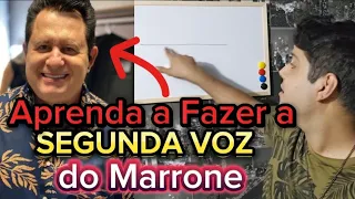 APRENDA A FAZER SEGUNDA VOZ DO MARRONE