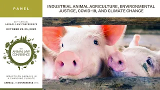 Industrial Animal Agriculture, Environmental Justice, COVID 19, and Climate Change