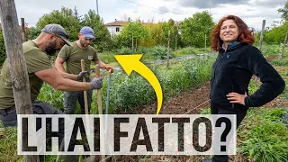 MAGGIO. 12 CONSIGLI per il tuo ORTO🌱