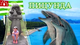 ВЛОГ #Абхазия 2016!Пицунда ДЕЛЬФИНАРИЙ Дельфины в открытом море Отдых с детьми Развлечение для детей