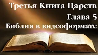 Видеобиблия. 3-я Книга Царств. Глава 5