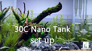 Nano Tank Set Up 30C | #plantedcreek  #aquascaping  #nano tank