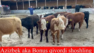 Azizbek aka Bonus qivordi shoshling arzon narxlarni yorvordi yana