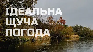 Ловля щуки на спінінг в жовтні! Ідеальна щуча погода! Рибалка на р.Горинь