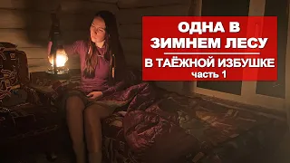 ОДИНОЧНЫЙ ЗИМНИЙ ПОХОД | ЖИВУ В ИЗБЕ | АНОМАЛЬНАЯ ЗОНА| ЧАСТЬ 1