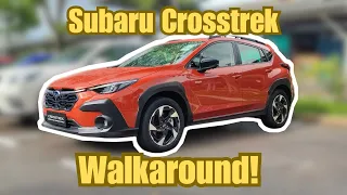 Subaru Crosstrek - Walkaround! #subaru #crosstrek