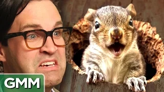 8 Freakiest Squirrel Facts