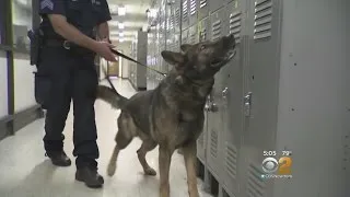 Police Dogs In LI High Schools