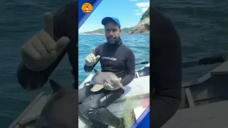 Scared baby dolphin rescued after getting caught in a net ❤️