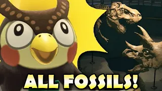 🦴 ALL FOSSILS in Animal Crossing New Horizons!  100% Dinosaur Fossil Guide