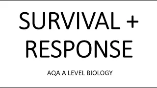 SURVIVAL AND RESPONSE - AQA A LEVEL BIOLOGY + EXAM QUESTIONS RUN THROUGH