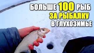 Этот метод ловли поражает! Как поймать больше 100 РЫБ в глухозимье?! Рыбалка на мормышку 2020!