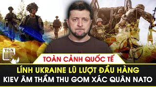 Toàn cảnh Quốc tế | Lính Ukraine lũ lượt đầu hàng, Kiev âm thầm thu gom xác quân NATO tử trận