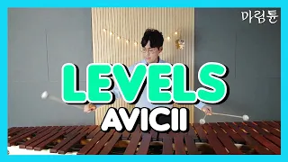 Avicii - Levels (Marimba Cover)