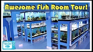 Fish Room Tour: Master Breeder Mike Helford's Fish Room