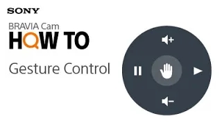 Tips Video | BRAVIA CAM - Gesture controls | Sony Official