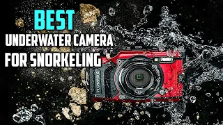 Top 5 Best Underwater Cameras for Snorkeling [Review] - Waterproof Underwater Digital Camera [2023]