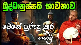 බුද්ධානුස්සති භාවනාව සම්පුර්ණයෙන්ම Hasalaka Seelawimala Thero හසලක සීලවිමල හිමි