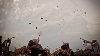 Waterfowl Hunting: So You Want To Be A Waterfowl Hunter - Fowled Reality