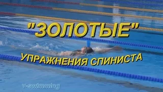 Золотые упражнения  спиниста.