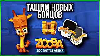 ОТКРЫТИЕ ЗОЛОТЫХ СУНДУКОВ НА НОВОМ АККАУНТЕ В ИГРЕ ZOOBA