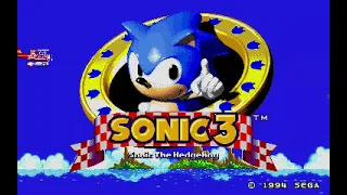 Sonic 3'14 project on android gameplay