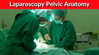 Laparoscopy Pelvic Anatomy | Dr Kunal Rathod