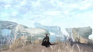 Lineage 2 Wind Plateau (with music) v2