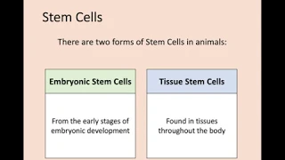 Higher Biology - 1.4 Cellular Differentiation