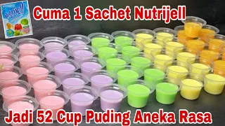 1 RESEP HASILNYA PUDING ANEKA RASA SEBANYAK INI‼️SILKY PUDING NUTRIJELL|PUDING PUYO