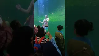 MERMAID SHOW OCEAN SAMUDRA ANCOL