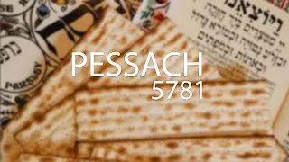 PESSACH 5781  - 27 DE MARÇO DE  2021 - TV ANUSSIM BRASIL AO VIVO