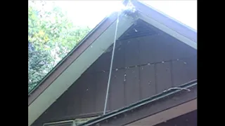 Wasp Nest vs M80