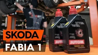 Как заменить масло КПП на SKODA FABIA 1 (6Y5) [ВИДЕОУРОК AUTODOC]