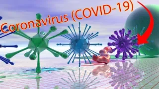 Virus Size Comparison (2020) 3D 4K 60FPS