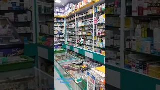 Kamal medical store badlapur