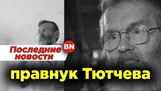 80-летний правнук Тютчева, ученый Иван Пигарев умер после столкновения с самокатом у МГУ