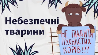 Небезпечні тварини | Реддіт українською