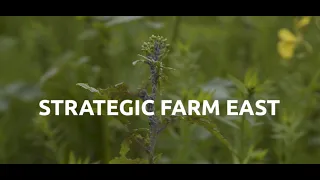 Strategic Cereal Farm East Virtual Tour