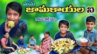 మను జామకాయలని వుడుక పెడితే ||  jamakayalani vudaka pedithe || manu videos || telugu letest all