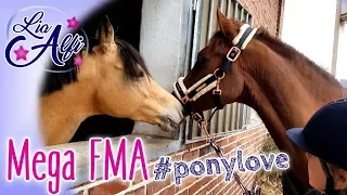 Lia & Alfi - Mega FMA am Stall mit den Ponys