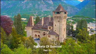 Pockets Of Survival Part 131