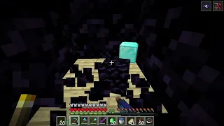 Hidden block of Diamond inside the Woodland Mansion - Minecraft