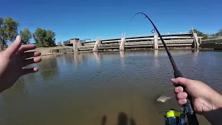 Spillway ( GAR FISHING ) The Pike fish of Kansas!!!!!