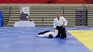 Demonstration of Experts in Aikido   Christophe Depaus at World Martial Arts Masterships in Korea