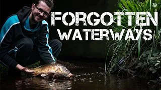 Fishing Tiny Streams | Jack Griffiths | BIG SURPRISE CATCH!