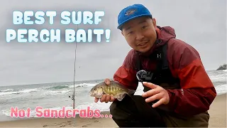 SURF PERCH FISHING AT THE CLIFF HOUSE SF | This is the Best bait HANDS DOWN!