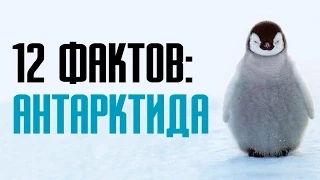 12 фактов об Антарктиде – интересная статистика и исследования