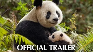 Disneynature's Born In China - Earth Day Trailer