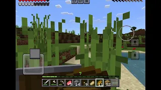 MINECRAFT - AN INSANE SEED